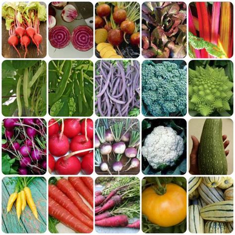 99 heirloom seeds|99 cent heirloom vegetable seeds.